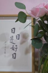 -妙YOGA瑜伽健康管理中心