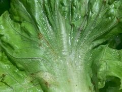 -权金城·烤肉(华北商厦店)