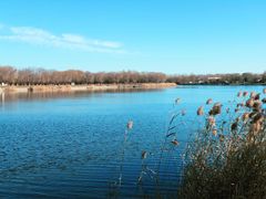 -素心小筑(后沙裕镇店)