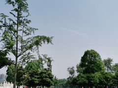 -洋湖国家湿地公园