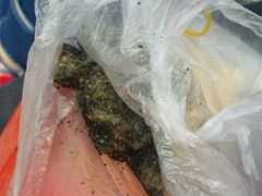 -叶氏麻糍(鼓浪屿店)