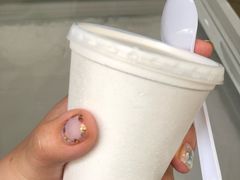 椰子雪糕-洪馨椰子