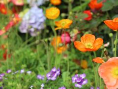 -人民公园(罗湖区)