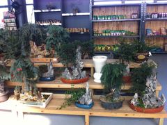 -南通洲际绿博园