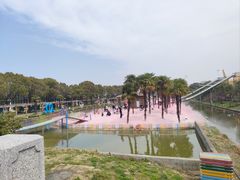 -苏州太湖西山岛开心农场