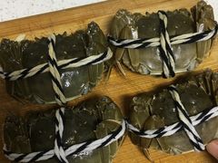 -小陆莲花蟹园农家乐(莲花岛店)