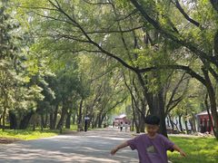 -北陵公园
