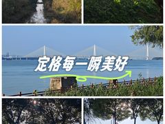 -鱼嘴湿地公园