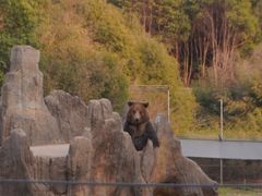 -杭州野生动物世界