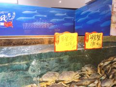 -小贝壳酒楼(经九路店)