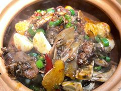 -陈家婆的菜(梅溪湖店)