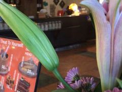 -长春藤咖啡(北园店)