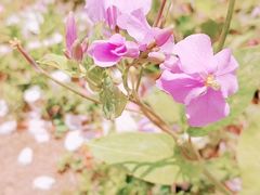 -白塘生态植物园