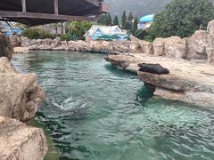 -珠海长隆海洋王国