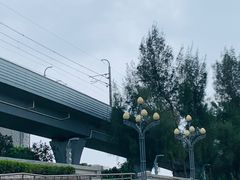 -宝安西湾红树林湿地公园