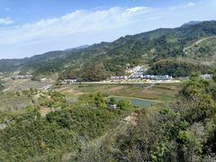 -千年银杏谷文化旅游区