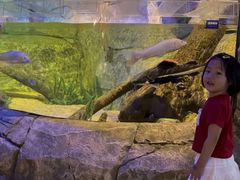 -沈阳海洋探索中心