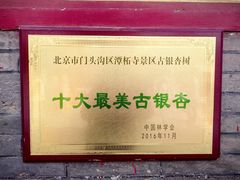 -潭柘寺景区
