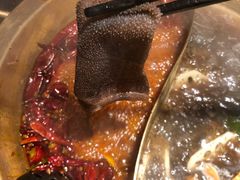 -锅说大脸毛肚重庆老火锅(佐阾店)