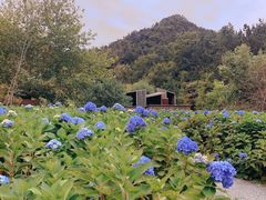 -昆嵛山石门里景区