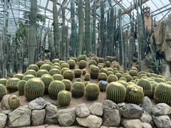 -南山植物园
