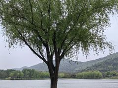 -长广溪湿地公园