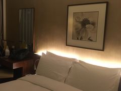 -香港城市花园酒店