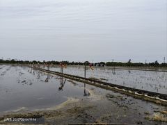 -嘉北郊野公园