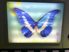 -上海昆虫博物馆