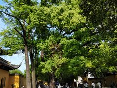 -西园戒幢律寺