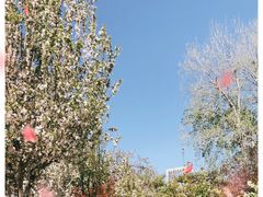 -元大都城垣遗址公园