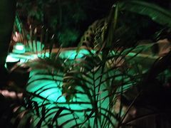 -稷泽·海丽宾雅温泉度假酒店