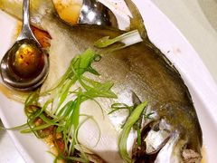 -Isla Sugbu Seafood City