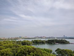 -金鸡湖桃花岛