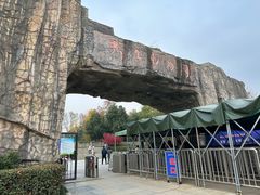 -合肥野生动物园