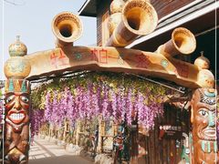 -呀路古热带植物园