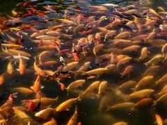 -长春市南湖公园