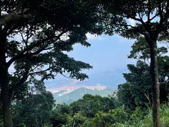 -梧桐山风景名胜区