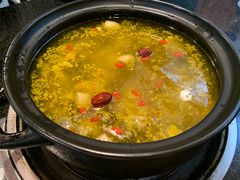 -蘑统田下·野生菌火锅