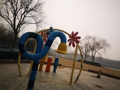 -大兴滨河森林公园