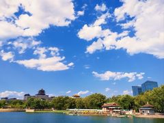-莲花池公园