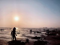 -红树林天天赶海