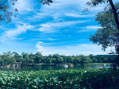 景点-承德避暑山庄景区