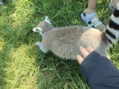 -秦皇岛野生动物园
