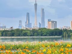 -海珠湖公园