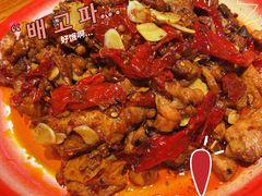 -柴窝堡22号辣子鸡·传承新疆菜