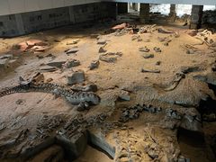 -自贡恐龙博物馆