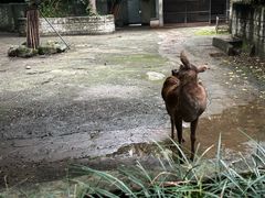 -成都动物园