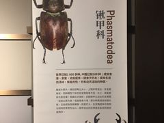 -成都百丽宫影城(LUXE太古里店)