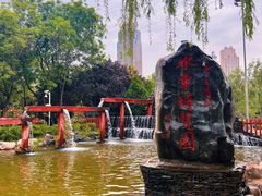 -水车博览园
